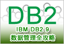 IBM DB2 9数据管理全攻略