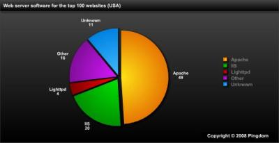Apache主导全美100大网站